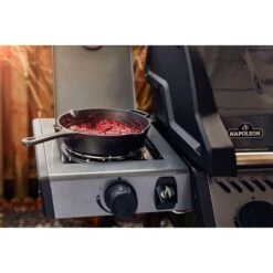 Napoleon Gasgrill Freestyle 365 SB Graphit, Mit Seitenbrenner -Napole Grill Geschaft Napoleon Gasgrill Freestyle 365 SB Graphit mit Seitenbrenner@@1680027 18