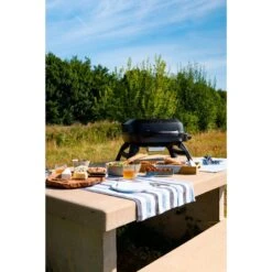 Napoleon Gasgrill TRAVELQ 240 -Napole Grill Geschaft Napoleon Gasgrill TRAVELQ 240@@1872821 12