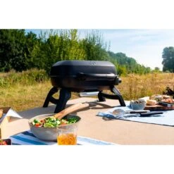 Napoleon Gasgrill TRAVELQ 240 -Napole Grill Geschaft Napoleon Gasgrill TRAVELQ 240@@1872821 13