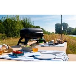 Napoleon Gasgrill TRAVELQ 240 -Napole Grill Geschaft Napoleon Gasgrill TRAVELQ 240@@1872821 14