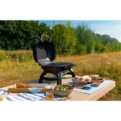 Napoleon Gasgrill TRAVELQ 240 -Napole Grill Geschaft Napoleon Gasgrill TRAVELQ 240@@1872821 16