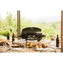 Napoleon Gasgrill TravelQ PRO285 -Napole Grill Geschaft Napoleon Gasgrill TravelQ PRO285@@9ggfen0o 13