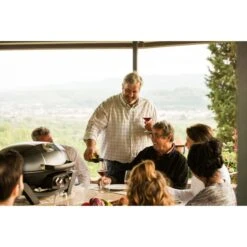 Napoleon Gasgrill TravelQ PRO285 -Napole Grill Geschaft Napoleon Gasgrill TravelQ PRO285@@9ggfen0o 14