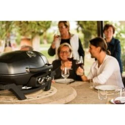 Napoleon Gasgrill TravelQ PRO285 -Napole Grill Geschaft Napoleon Gasgrill TravelQ PRO285@@9ggfen0o 15