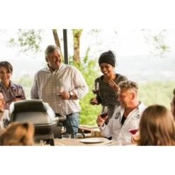 Napoleon Gasgrill TravelQ PRO285 -Napole Grill Geschaft Napoleon Gasgrill TravelQ PRO285@@9ggfen0o 16