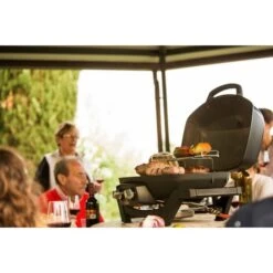 Napoleon Gasgrill TravelQ PRO285 -Napole Grill Geschaft Napoleon Gasgrill TravelQ PRO285@@9ggfen0o 17