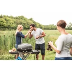 Napoleon Gasgrill TravelQ PRO285X Mit Klappwagen -Napole Grill Geschaft Napoleon Gasgrill TravelQ PRO285X mit Klappwagen@@9ggfen0n 9