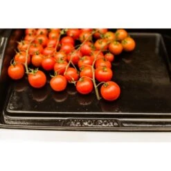 Napoleon Gusseisen-Plancha, Grillplatte -Napole Grill Geschaft Napoleon Gusseisen Plancha Grillplatte@@9ggzzn0s 7