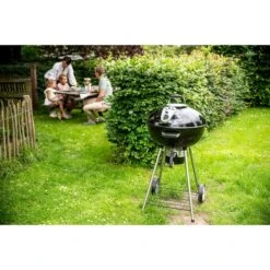 Napoleon Holzkohlegrill Charcoal Kettle N22K -Napole Grill Geschaft Napoleon Holzkohlegrill Charcoal Kettle N22K@@9ggffn03 15