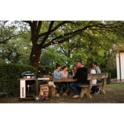 Napoleon Holzkohlegrill PRO22K, Im Rollwagen -Napole Grill Geschaft Napoleon Holzkohlegrill PRO22K im Rollwagen@@9ggffn01 13