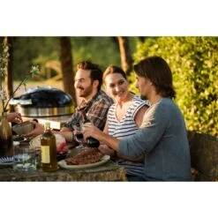 Napoleon Holzkohlegrill PRO22K, Im Rollwagen -Napole Grill Geschaft Napoleon Holzkohlegrill PRO22K im Rollwagen@@9ggffn01 19