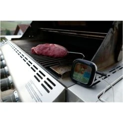 TFA Digitales Grill-Bratenthermometer 14.1509 -Napole Grill Geschaft TFA Digitales Grill Bratenthermometer 14 1509@@1914083 2