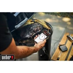 Weber Connect Smart Grilling Hub, Thermometer -Napole Grill Geschaft Weber Connect Smart Grilling Hub Thermometer@@1600833 12