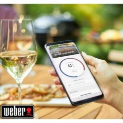 Weber Connect Smart Grilling Hub, Thermometer -Napole Grill Geschaft Weber Connect Smart Grilling Hub Thermometer@@1600833 6