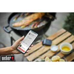 Weber Connect Smart Grilling Hub, Thermometer -Napole Grill Geschaft Weber Connect Smart Grilling Hub Thermometer@@1600833 8