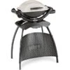 Weber Gasgrill Q 1000 Stand Titan 2 Weber Gasgrill Q 1000 Stand Titan -Napole Grill Geschaft Weber Gasgrill Q 1000 Stand Titan@@9ggfew0a