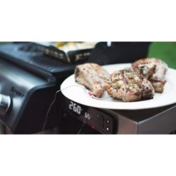 Weber Gasgrill Spirit EPX-325S GBS 31 Weber Gasgrill Spirit EPX-325S GBS -Napole Grill Geschaft Weber Gasgrill Spirit EPX 325S GBS@@1694193 16