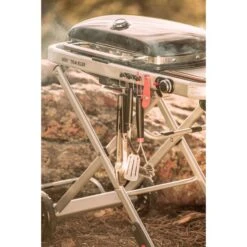Weber Gasgrill Traveler Black -Napole Grill Geschaft Weber Gasgrill Traveler Black@@1694181 17