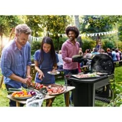 Weber Holzkohlegrill Performer Premium GBS Edition -Napole Grill Geschaft Weber Holzkohlegrill Performer Premium GBS Edition@@1805697 18