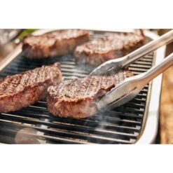 Weber Lumin Elektrogrill -Napole Grill Geschaft Weber Lumin Elektrogrill@@1875480 9