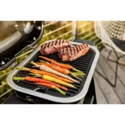 Weber Lumin Elektrogrill Mit Stand -Napole Grill Geschaft Weber Lumin Elektrogrill mit Stand@@1875515 9