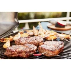 Weber IGrill Pro Messfühler Für Grillgut, Thermometer -Napole Grill Geschaft Weber iGrill Pro Messf hler f r Grillgut Thermometer@@1303168 13